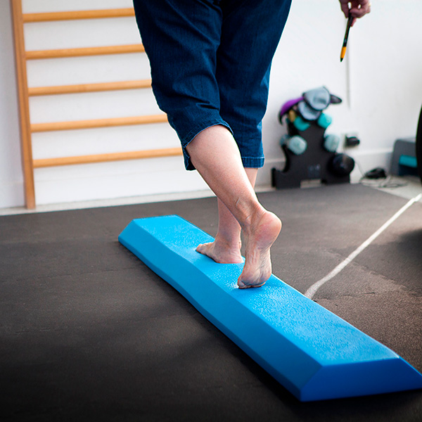 vestibuler physiotherapy